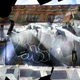 Illustration for article titled Fantastic Patchwork Panoramas Using Just the iPhone Camera